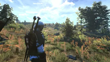 Velen New Day 1 ON