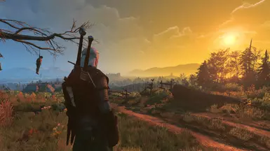 Velen 10 OFF