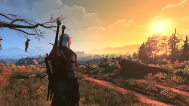 Velen 10 ON