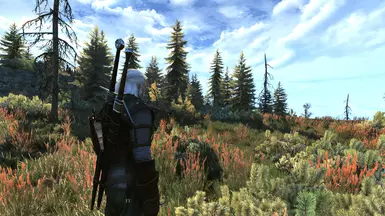 Velen 13 ON
