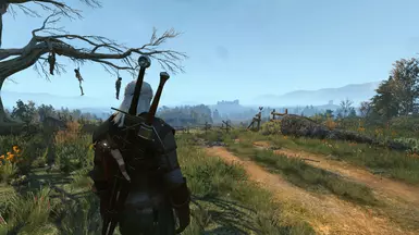Velen 11 OFF