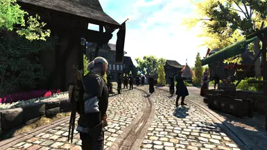 Novigrad 7 ON