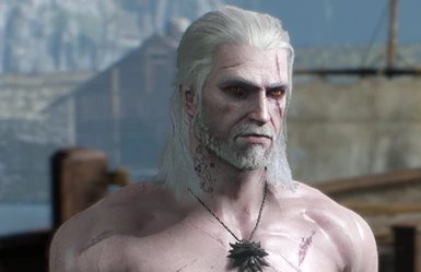 The Butcher of Blaviken Lore-Friendly Geralt