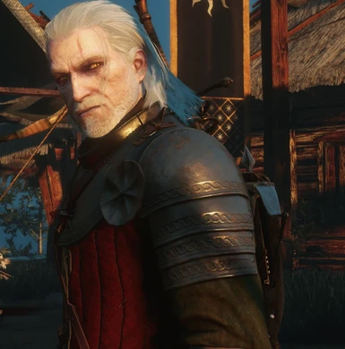 Geralt The White Beard _STLM and Absolute Prerelease Reshade for this and the pictures past this_