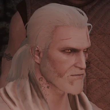 Geralt The White Beard with Hairworks completely enabled 1 _Wiedzmin Lighting Mod V6 and PATHOS Reshade_