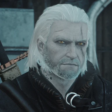 Geralt The White Wolf _Using Wiedzmin Lighting Mod V6 and PATHOS Reshade_