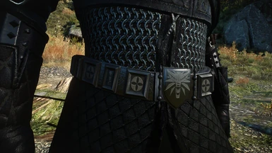 Baron Armor Belt and Chainmail