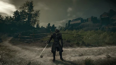 Hooded Witcher ready for an epic swordfight !
