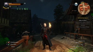Inquisitor Geralt. (Black coat. Hair is from 