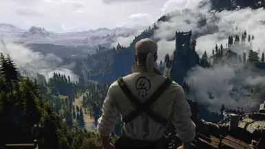 The Witcher 3 04 11 2017   18 30 00 01