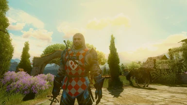 Geralt Tourney Armor