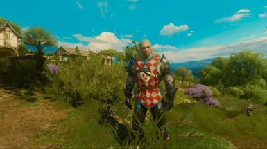 Geralt Tourney Armor 2