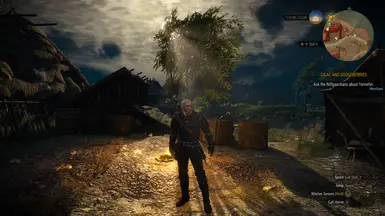 witcher 3 speicherstand