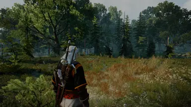 Witcher 3 LILIT BETA V01