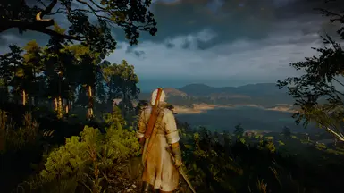 Witcher 3 LILIT BETA V01
