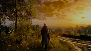 Witcher 3 LILIT BETA V01