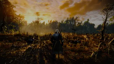 The Witcher 3 LILIT RESHADE FINAL at The Witcher 3 Nexus - Mods and ...