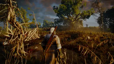 Witcher 3 LILIT BETA V01