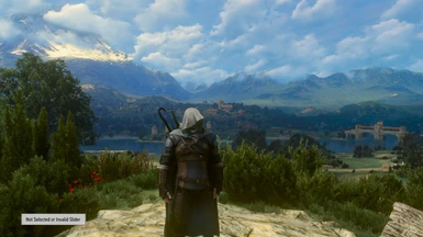 The Geralt