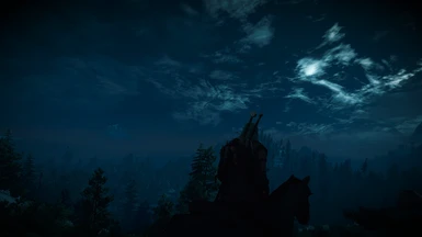 The Witcher 3 Screenshot 2017 06 07   14 08 25 27