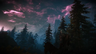 The Witcher 3 Screenshot 2017 06 07   14 07 00 08