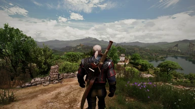 The Witcher 3 2017 06 14   16 19 28 07