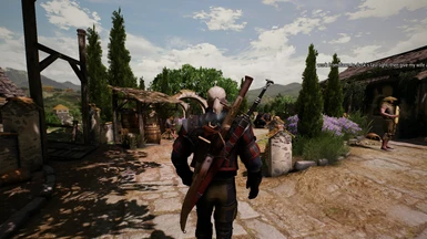 The Witcher 3 2017 06 14   16 29 04 10