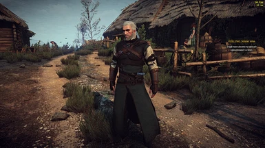 The Witcher 3 2017 06 19   13 35 47 01