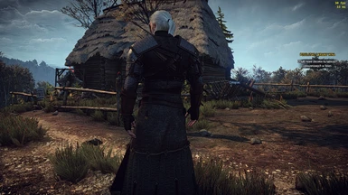 The Witcher 3 2017 06 19   13 38 38 08