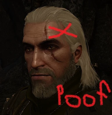 Geralt Cinematic Hair At The Witcher 3 Nexus Mods And