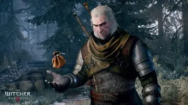 get money in the witcher 3 1.22