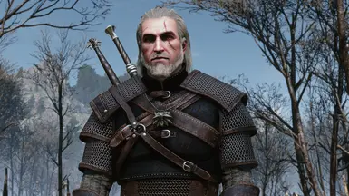 Swap Armour and Swords Appearances at The Witcher Nexus - mods and