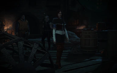 Alternative Outfit for Triss 5