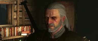 The Witcher 3 Super Resolution 2017 08 16   14 42 26 17
