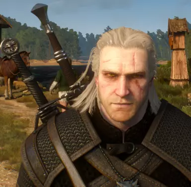 witcher3 2017 10 06 13 41 19