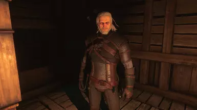 The Witcher 3 Screenshot 2017 10 09   23 45 16 81