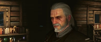 The Witcher 3 Super Resolution 2017 08 16   14 45 28 01