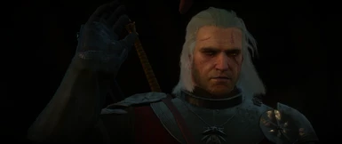 The Witcher 3 09 Nov 17 6 18 27 PM