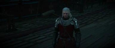The Witcher 3 09 Nov 17 6 21 10 PM