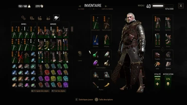 witcher 3 ng++ mod
