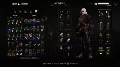 The Witcher 3 09 29 2017   13 52 13 01