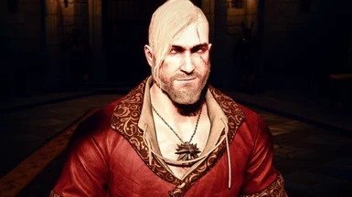Stylish Hairstyles For Geralt At The Witcher 3 Nexus Mods