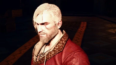 Stylish hairstyle for Geralt cossack version
