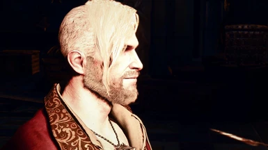 Stylish Hairstyles For Geralt At The Witcher 3 Nexus Mods
