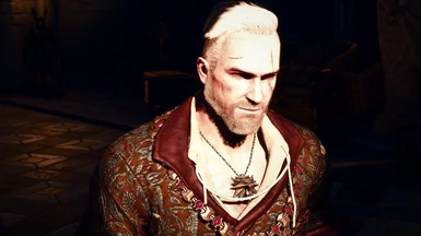 Stylish hairstyle for Geralt olgierd version