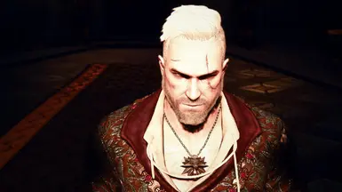 Stylish hairstyle for Geralt olgierd version