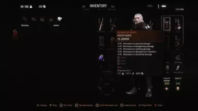 Gwynbleidd Armor LVL 1 V2
