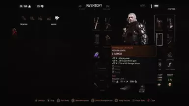 Gwynbleidd Trousers LVL 1 V2