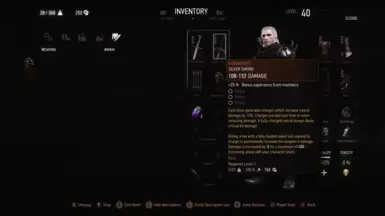 Aerondight LVL 40 (No Charges) V2