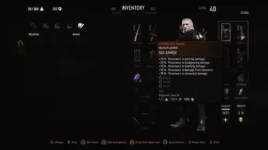 Gwynbleidd Armor LVL 40 V2